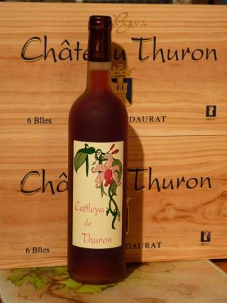 Cattleya De Thuron 2010