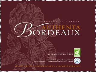 Authenta Bio - Rouge