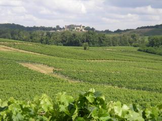Château De La Bouyère