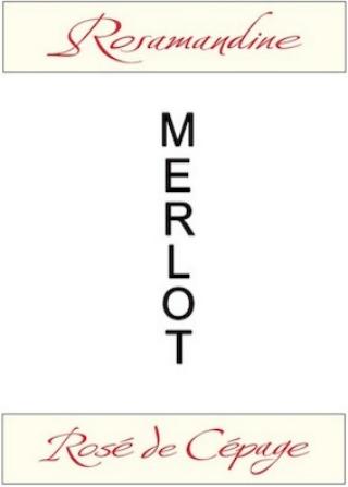 Château Dubois-Challon