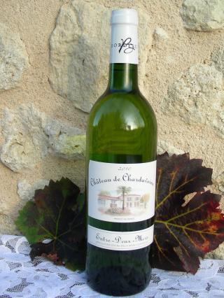 Château De Chardavoine