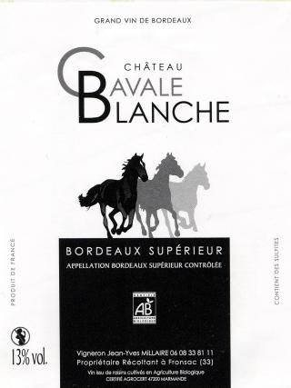 Château Cavale Blanche