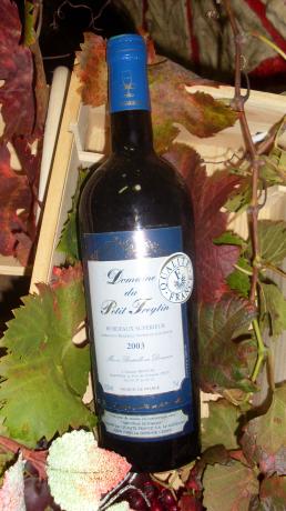 Domaine Du Petit Treytin