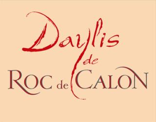 Daylis De Roc De Calon